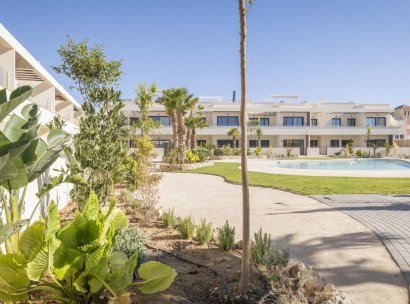 Bungalow · New Build - Torrevieja · Villa Amalia · Alicante · Spain
