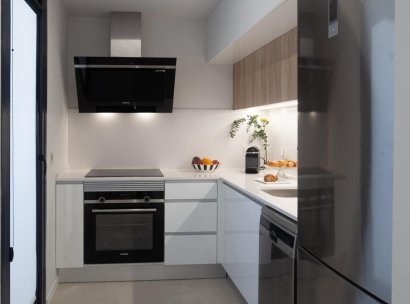 Apartment · New Build - Denia · L´Estanyó (Marinas) · Alicante · Spain