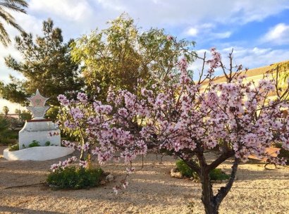 Villa · New Build - Los Urrutias · Estrella De Mar · Murcia · Spain