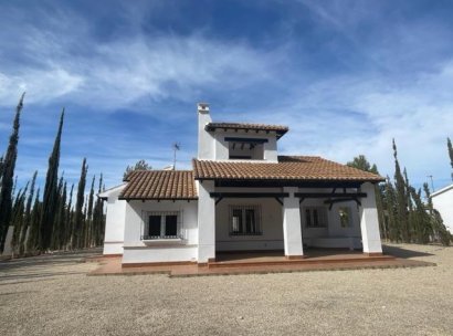 Villa · New Build - Fuente Alamo · Las Palas · Murcia · Spain