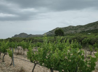 Villa · New Build - Yecla · Murcia · Spain