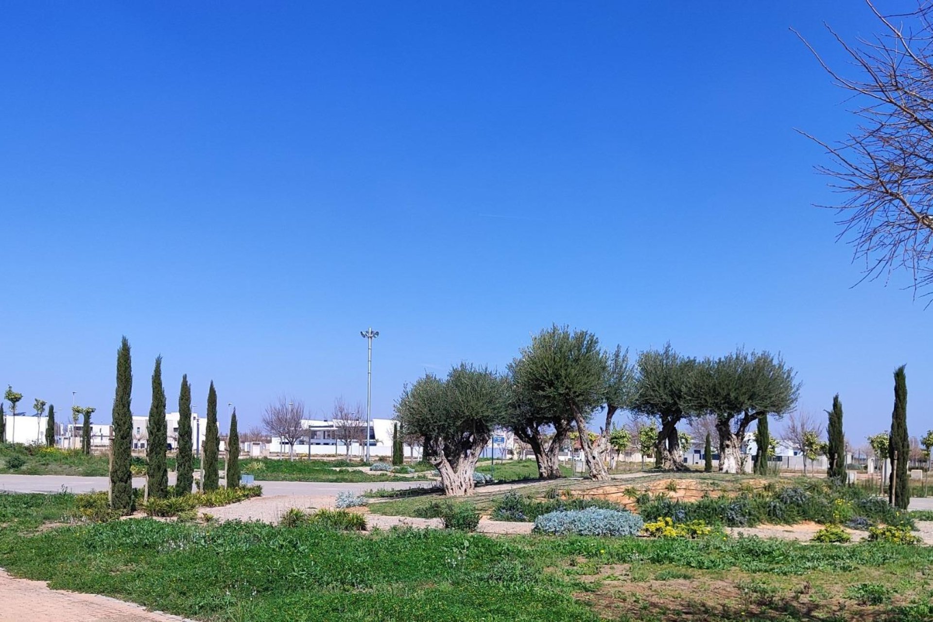 Nieuwbouw Woningen - Penthouse - Torrevieja - Costa Blanca South