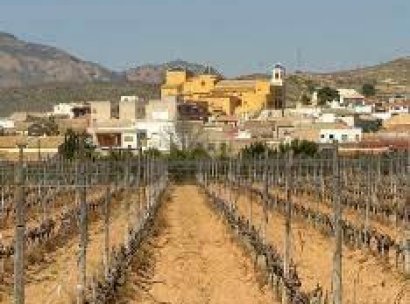Bungalow · New Build - San Pedro del Pinatar · El Salero · Murcia · Spain