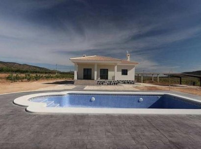 Villa · Nieuwbouw Woningen - Pinoso · Camino Del Prado · Alicante · Spanje