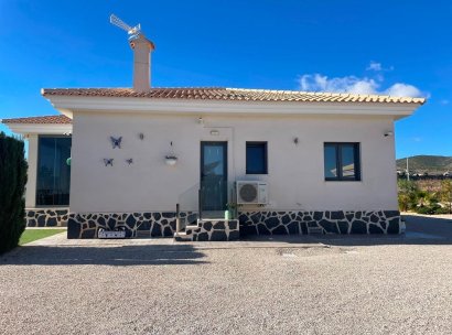 Villa · Nieuwbouw Woningen - Pinoso · Camino Del Prado · Alicante · Spanje