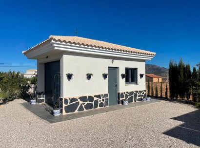 Villa · Nieuwbouw Woningen - Pinoso · Camino Del Prado · Alicante · Spanje