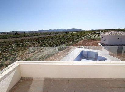 Villa · Nieuwbouw Woningen - Pinoso · Camino Del Prado · Alicante · Spanje