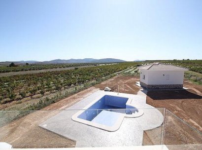 Villa · Nieuwbouw Woningen - Pinoso · Camino Del Prado · Alicante · Spanje