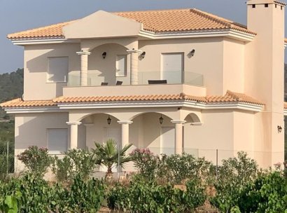 Villa · Nieuwbouw Woningen - Pinoso · Camino Del Prado · Alicante · Spanje