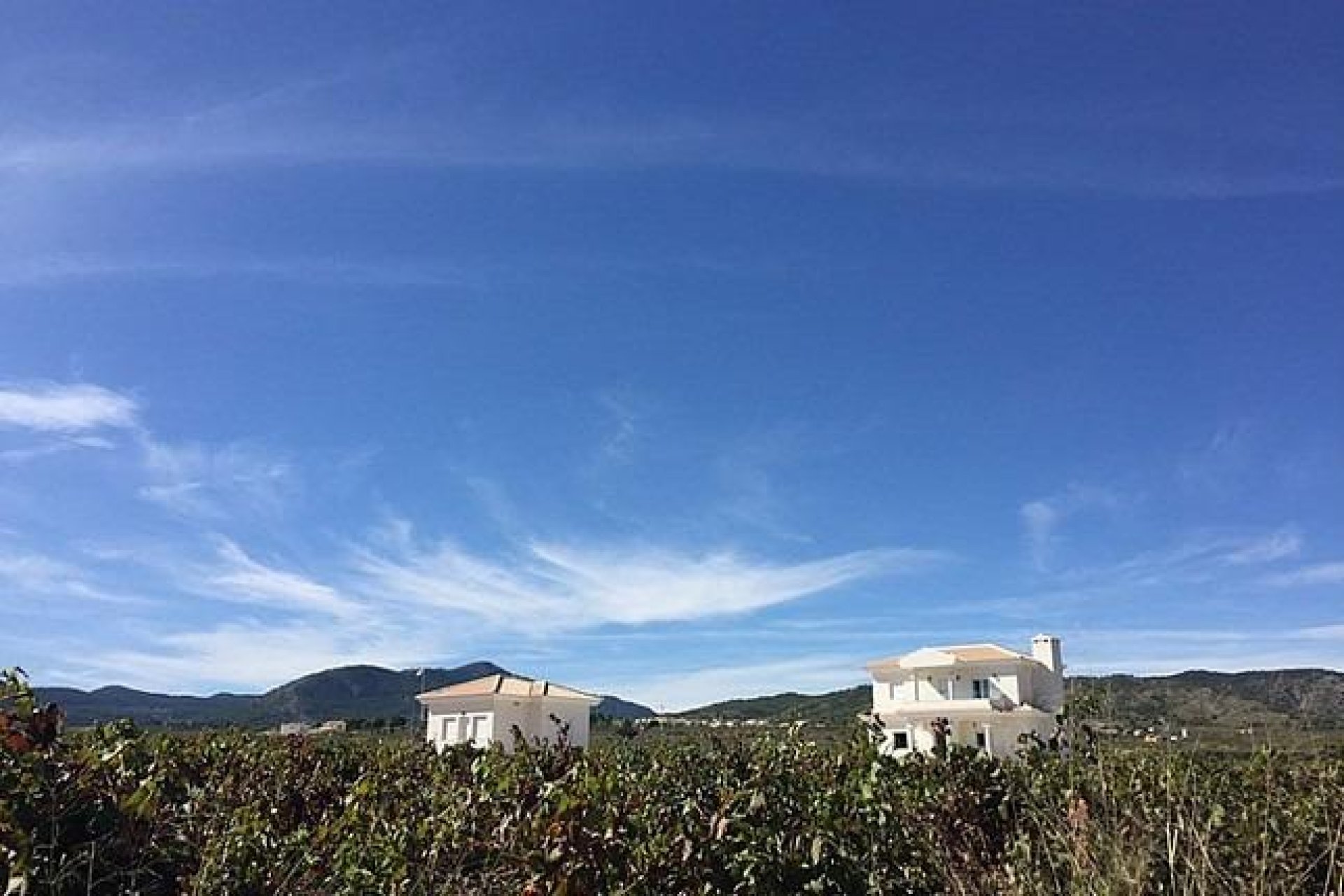 Obra nueva - Villa - Pinoso
