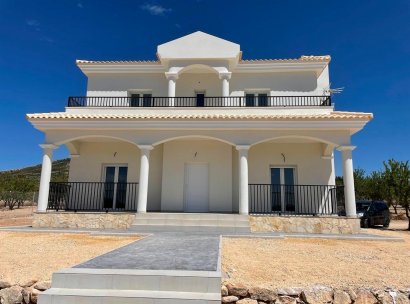 Villa · New Build - Pinoso · Camino Del Prado · Alicante · Spain