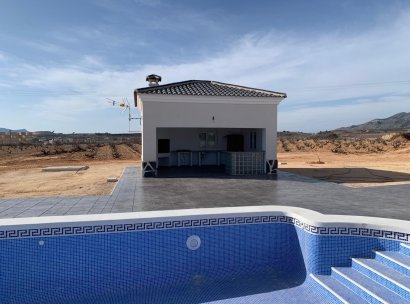 Villa · New Build - Pinoso · Camino Del Prado · Alicante · Spain