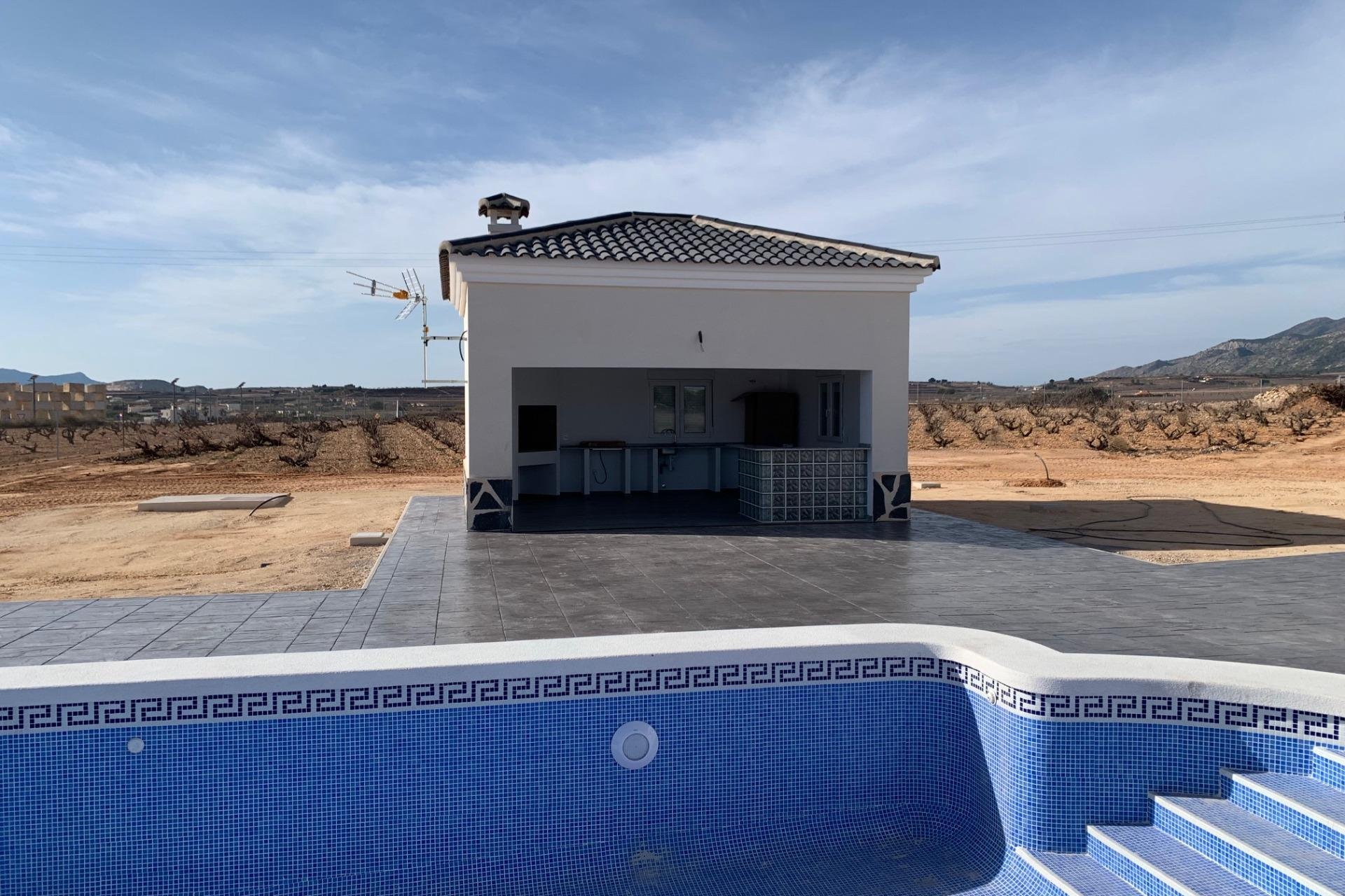 Obra nueva - Villa - Pinoso