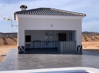 Villa · New Build - Pinoso · Camino Del Prado · Alicante · Spain
