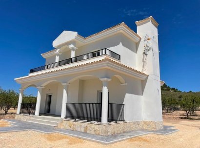 Villa · New Build - Pinoso · Camino Del Prado · Alicante · Spain