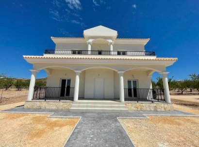 Villa · New Build - Pinoso · Camino Del Prado · Alicante · Spain