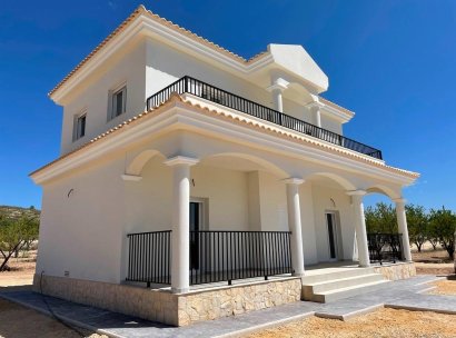 Villa · New Build - Pinoso · Camino Del Prado · Alicante · Spain