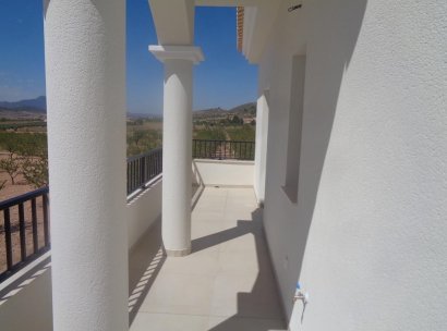 Villa · New Build - Pinoso · Camino Del Prado · Alicante · Spain