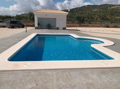 Villa · New Build - Pinoso · Camino Del Prado · Alicante · Spain
