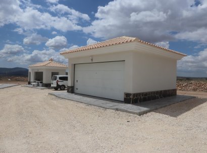 Villa · New Build - Pinoso · Camino Del Prado · Alicante · Spain