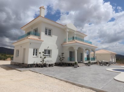 Villa · New Build - Pinoso · Camino Del Prado · Alicante · Spain