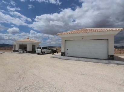 Villa · New Build - Pinoso · Camino Del Prado · Alicante · Spain
