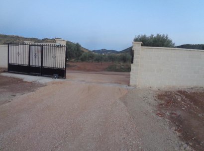 Villa · New Build - Pinoso · Camino Del Prado · Alicante · Spain