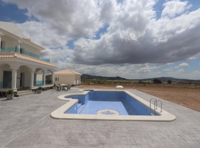 Villa · New Build - Pinoso · Camino Del Prado · Alicante · Spain