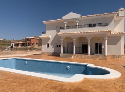 Villa · New Build - Pinoso · Camino Del Prado · Alicante · Spain
