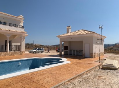 Villa · New Build - Pinoso · Camino Del Prado · Alicante · Spain