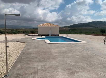 Villa · New Build - Pinoso · Camino Del Prado · Alicante · Spain