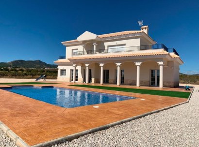 Villa · New Build - Pinoso · Camino Del Prado · Alicante · Spain