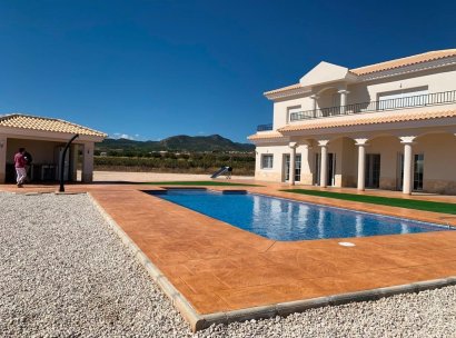 Villa · New Build - Pinoso · Camino Del Prado · Alicante · Spain