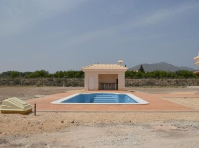 Villa · New Build - Pinoso · Camino Del Prado · Alicante · Spain