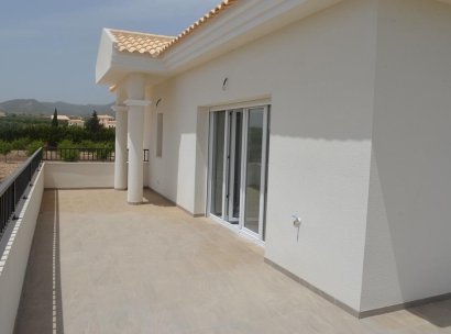 Villa · New Build - Pinoso · Camino Del Prado · Alicante · Spain