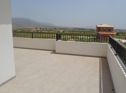 Villa · New Build - Pinoso · Camino Del Prado · Alicante · Spain