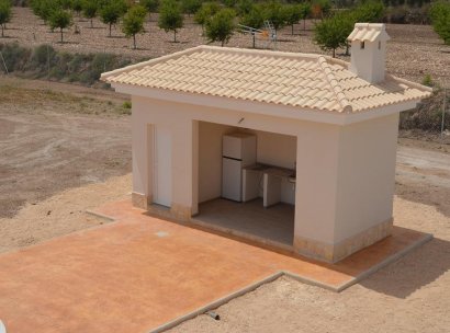 Villa · New Build - Pinoso · Camino Del Prado · Alicante · Spain