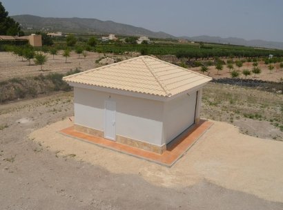 Villa · New Build - Pinoso · Camino Del Prado · Alicante · Spain