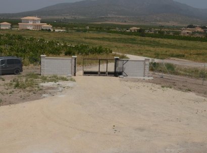 Villa · New Build - Pinoso · Camino Del Prado · Alicante · Spain