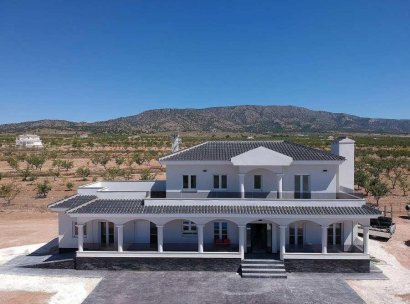Villa · New Build - Pinoso · Camino Del Prado · Alicante · Spain