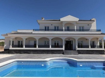 Villa · New Build - Pinoso · Camino Del Prado · Alicante · Spain