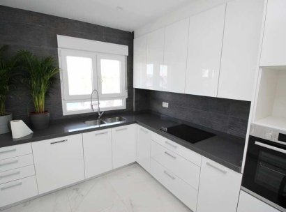Villa · New Build - Pinoso · Camino Del Prado · Alicante · Spain