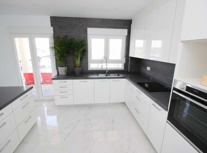 Villa · New Build - Pinoso · Camino Del Prado · Alicante · Spain