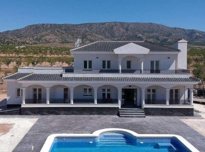 Villa · New Build - Pinoso · Camino Del Prado · Alicante · Spain