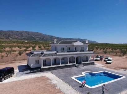 Villa · New Build - Pinoso · Camino Del Prado · Alicante · Spain