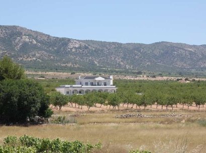 Villa · New Build - Pinoso · Camino Del Prado · Alicante · Spain