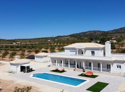 Villa · New Build - Pinoso · Camino Del Prado · Alicante · Spain