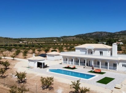 Villa · New Build - Pinoso · Camino Del Prado · Alicante · Spain
