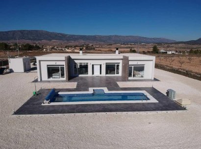 Villa · New Build - Pinoso · Camino Del Prado · Alicante · Spain
