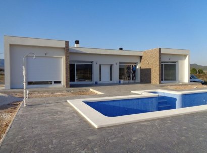 Villa · New Build - Pinoso · Camino Del Prado · Alicante · Spain
